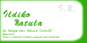 ildiko matula business card